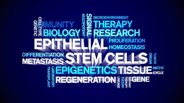 Epithelial Stem Cells animated word cloud-gross domestic product animation tag kinetic typography seamless loop.