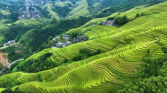 Aerial view of Longsheng Rice Terraces in the Guangxi Region, China