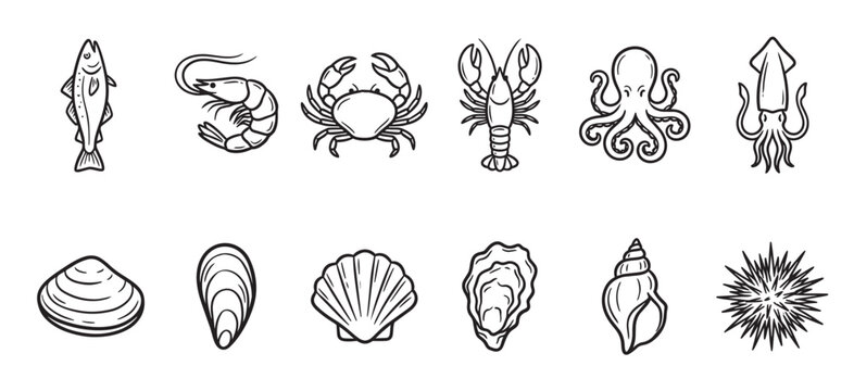 A clean, hand-drawn line art collection of popular seafood items including fish, shrimp, crab, lobster, octopus, squid, clams, oysters, shells, and sea urchins on a white background.
