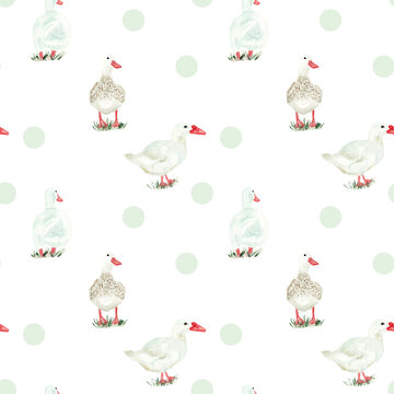 Pattern con anatre e su sfondo bianco a pois verdi ideale per tessuti, cancelleria e decorazioni per bambini