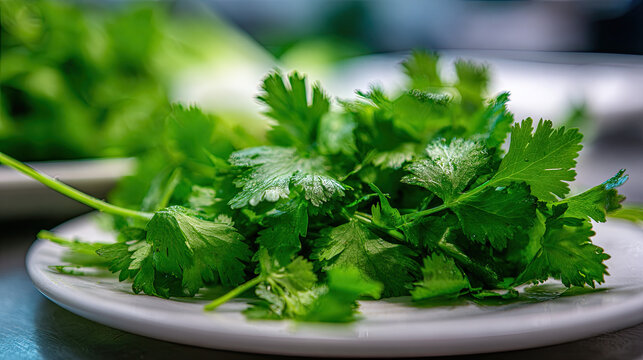Chef garnishing seafood dish in slow motion concept. Fresh cilantro leaves on a white plate, ready for cooking.