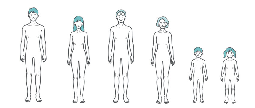 痩せ型の人体イラスト全世代セット（正面）