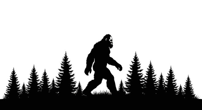 Bigfoot silhouette walking through pine forest, mythical creature, cryptid legend