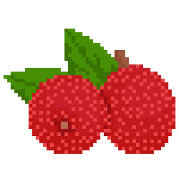Pixel Art Autumn Olive Berry - Pixel Boyama Art Sample