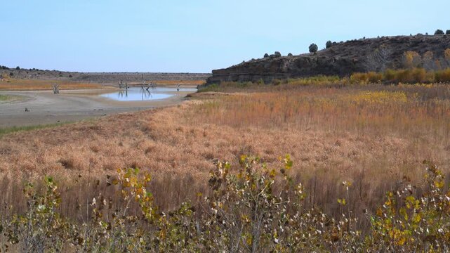 Dry yellow vegetation on the shore of a desiccating Lake Carl Etling, Black Mesa State Park in Oklahoma,  USA
