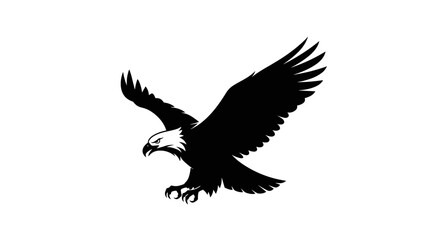 Fototapeta premium Bald Eagle in Flight Silhouette Profile.