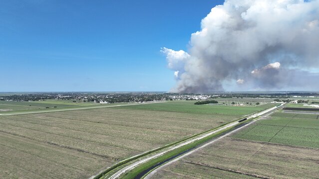Aerial view of a massive smoke plume rising from a wildfire over flat agricultural fields and a rural town under a clear blue sky.