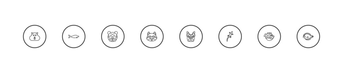 outline animals icons set - tiger, racoon, bulldog. editable vector for web and mobile ui © IconArt