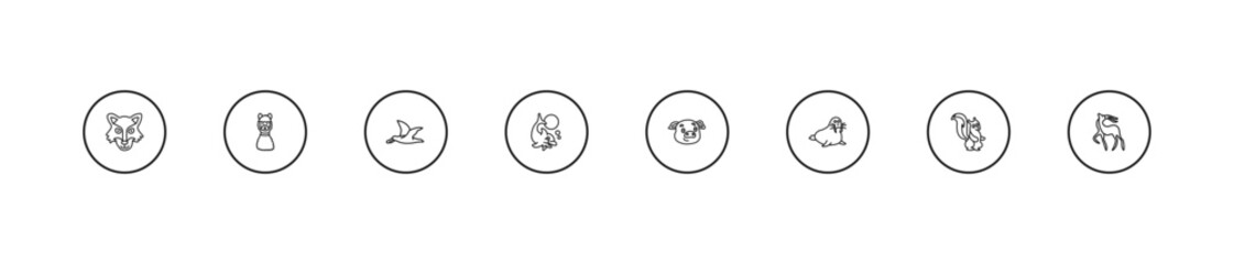 outline animals icons set - albatross, dolphin jumping, pig. editable vector for web and mobile ui © IconArt