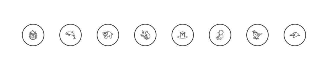 outline animals icons set - bear, capybara, groundhog. editable vector for web and mobile ui © IconArt