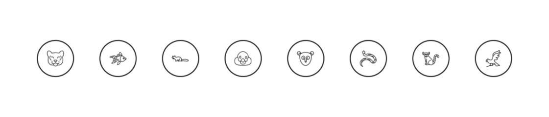 outline animals icons set - marten, snigir, philippine tarsier. editable vector for web and mobile ui © IconArt