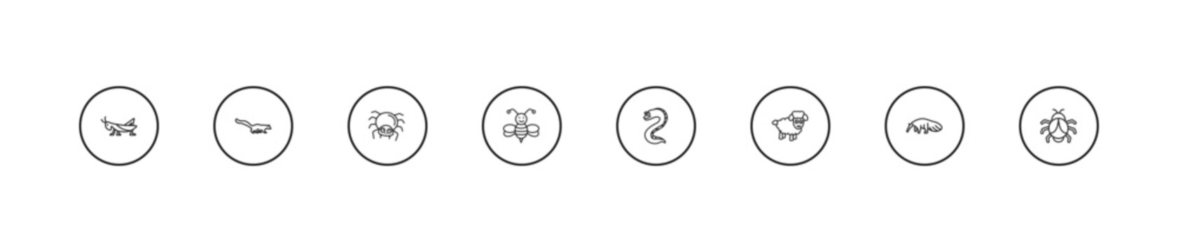 outline animals icons set - spider, bee, moray. editable vector for web and mobile ui