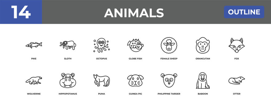 outline animals icons set - pike, sloth, baboon. editable vector for web and mobile ui