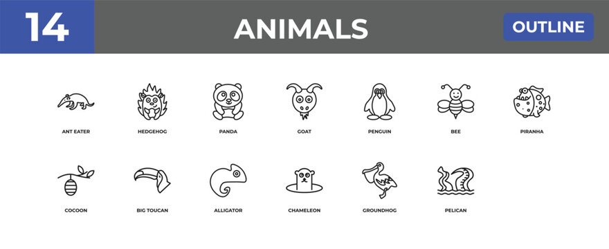 outline animals icons set - ant eater, hedgehog, pelican. editable vector for web and mobile ui
