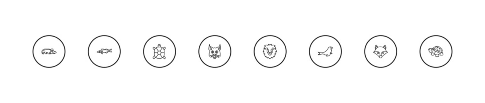 outline animals icons set - tortoise, pallas cat, lion head. editable vector for web and mobile ui