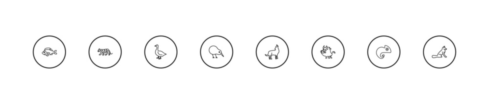 outline animals icons set - goose, kiwi bird, coyote. editable vector for web and mobile ui