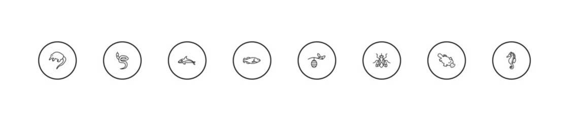 Obraz premium outline animals icons set - orca, big fish, cocoon. editable vector for web and mobile ui