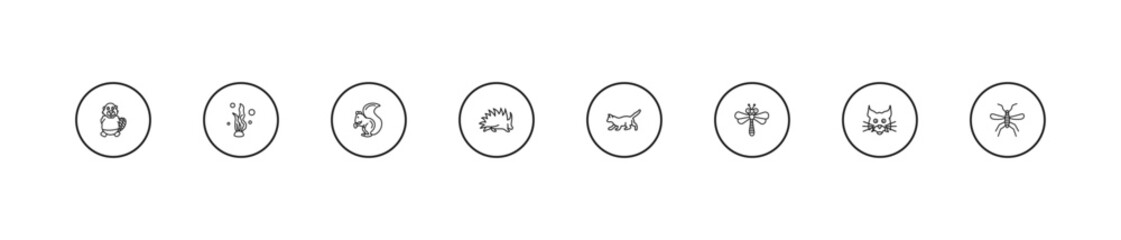 outline animals icons set - squirrel, porcupine, kitten. editable vector for web and mobile ui © IconArt