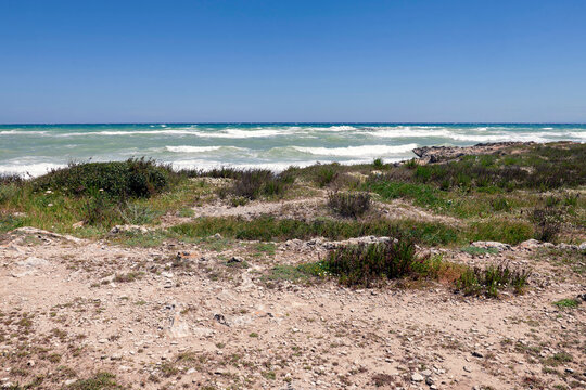 Costa bassa con vegetazione e mare agitato - Salento - Puglia