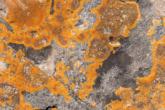 Texture di pietra con macchie colorate
