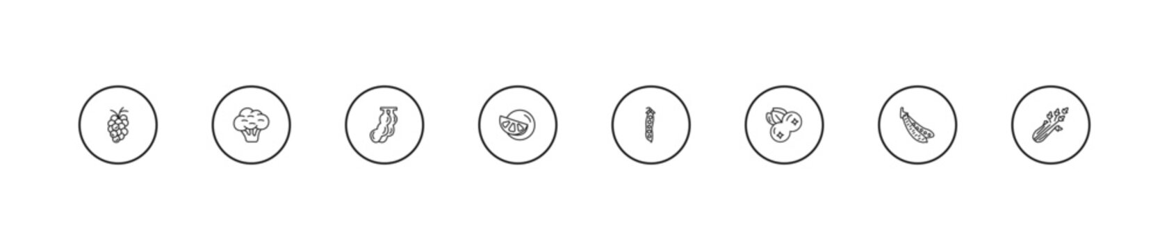 outline fruits and vegetables icons set - tamarind, grapefruit, peas. editable vector for web and mobile ui