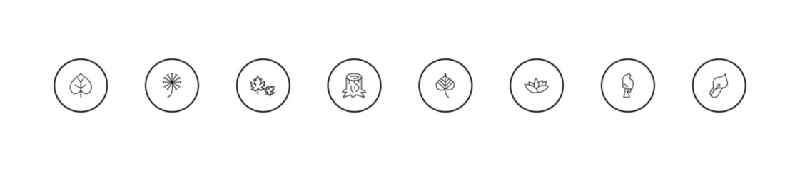 Fototapeta premium outline nature icons set - dry leaf, trunk, linden leaf. editable vector for web and mobile ui
