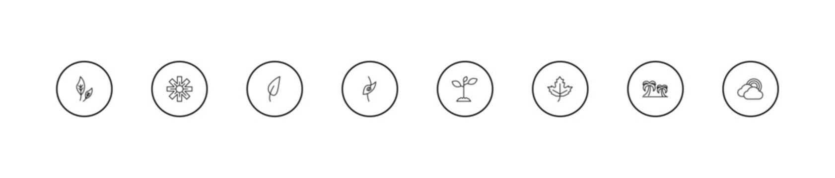 outline nature icons set - acicular, perfoliate, plants growing. editable vector for web and mobile ui
