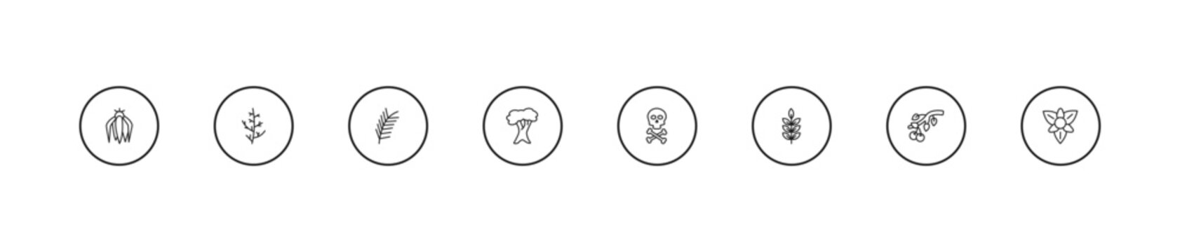 outline nature icons set - pine leaf, white oak tree, death. editable vector for web and mobile ui