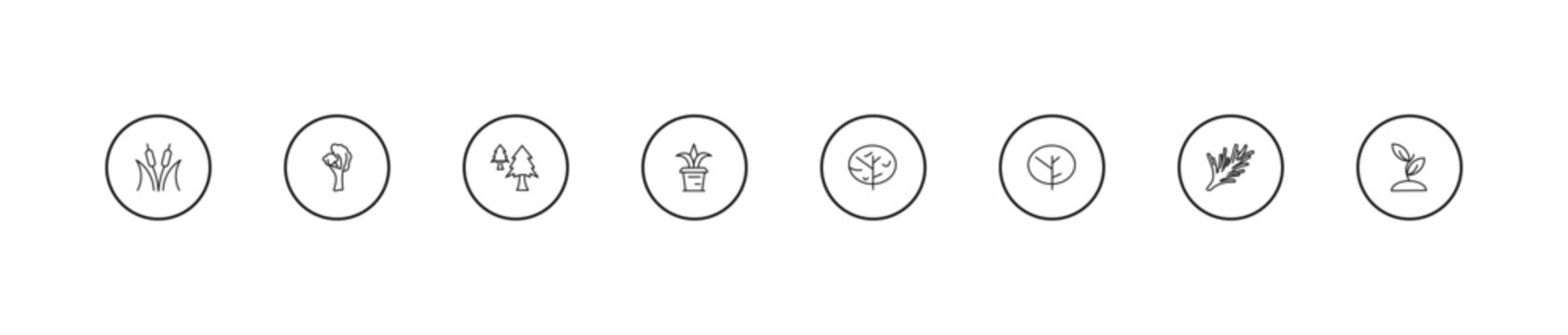outline nature icons set - cedar, plant pot, black oak tree. editable vector for web and mobile ui