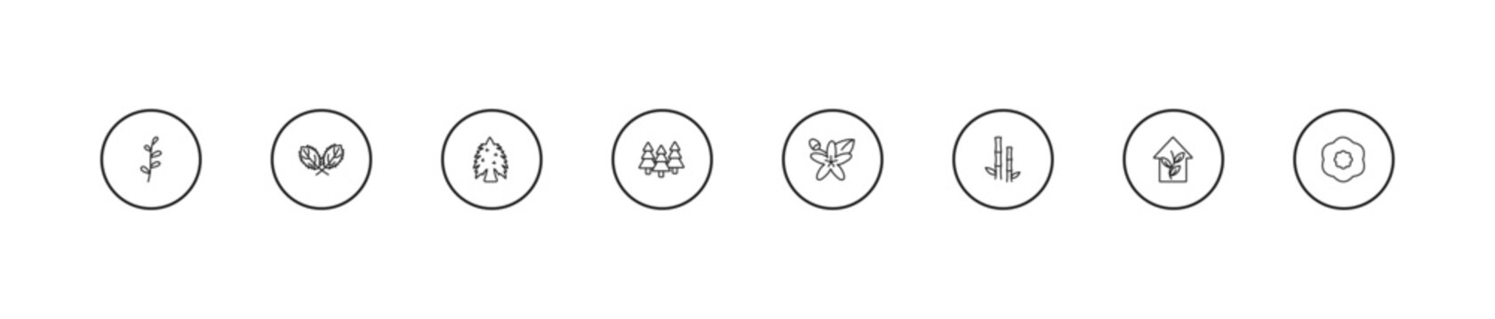 outline nature icons set - eastern hemlock tree, woods, neroli. editable vector for web and mobile ui