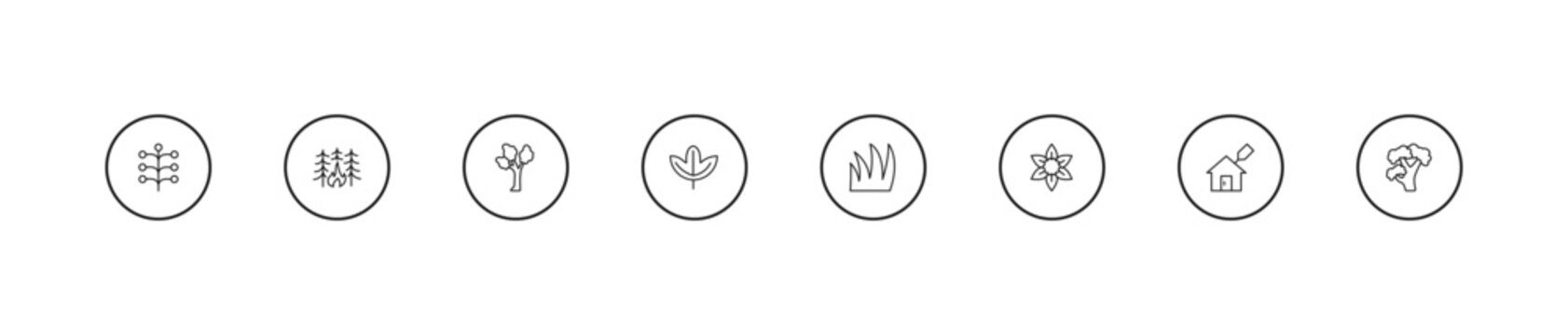 outline nature icons set - eastern cottonwood tree, sassafras leaf, grass leaves. editable vector for web and mobile ui