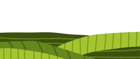 Tea farm collage for pattern rice field and background abstract green. © Alyona_Uvarova
