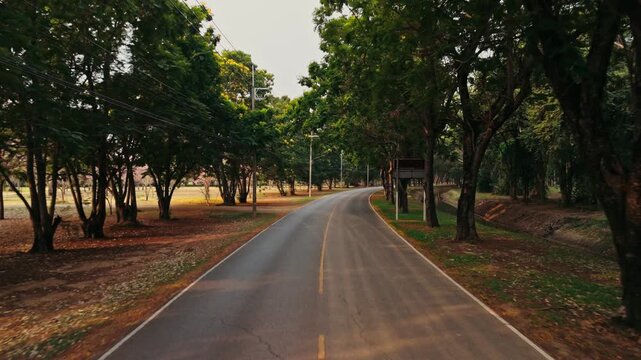 Aerial perspective tracks forward at low altitude following curved paved road bordered by rows of massive green trees while soft morning light filters through thick foliage in peaceful park setting