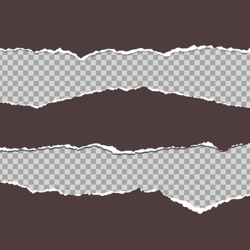 Versatile Torn Paper Collage & Ripped Edge Vector Collection