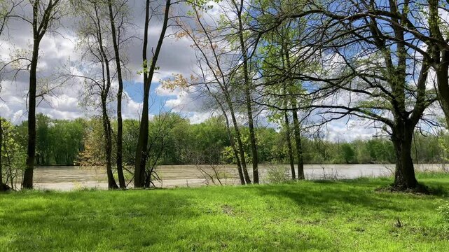 tranquil riverfront with birds chirping