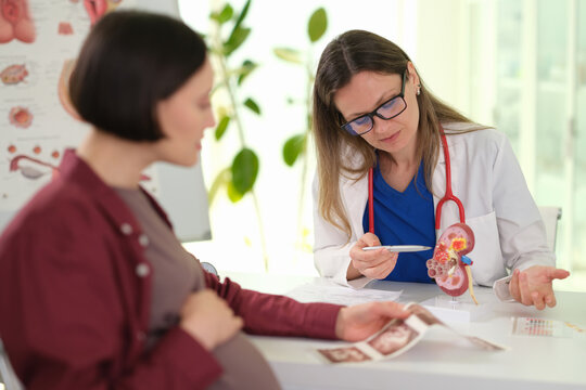 Doctor showing ultrasound photos to pregnant patient in bright clinic, obstetrician explains uterus model and sonogram results,