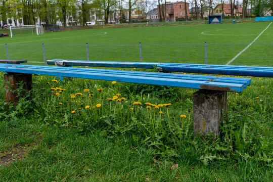 Weathered blue wooden bench stands beside a green football field with goalposts, fence and yellow dandelions. Suitable for local sport, empty stadium seating, recreation ground and outdoor football th