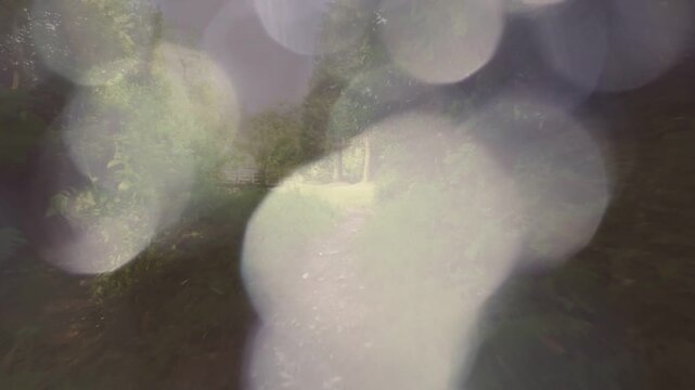 Mist-triggered droplets sliding across lens, gradually revealing narrow tree-lined path and bridge