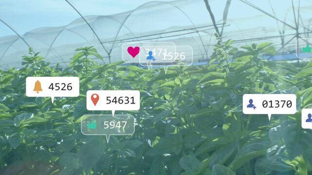 Notification badges spawning at right rim and spreading over plant canopy, visualizing engagement