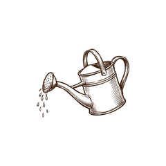 Gardening Watering Can Organic Ink Sketch © Craftinza