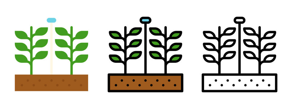 Village Growing Crops for Agriculture Field, Farming Process & Rural Cultivation