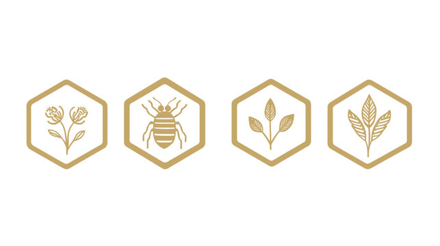 Four icons, gold hexagon frames. Symbols include a flower, insect, three leaves, and a three leaf cluster