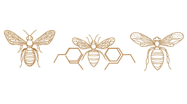 A detailed illustration of honeybees with open wings and a honeycomb design, in shades of brown