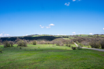 Fototapeta premium a narrow asphalt road winding through lush green meadows and rolling balkan hills under a bright blue sky in bulgaria.