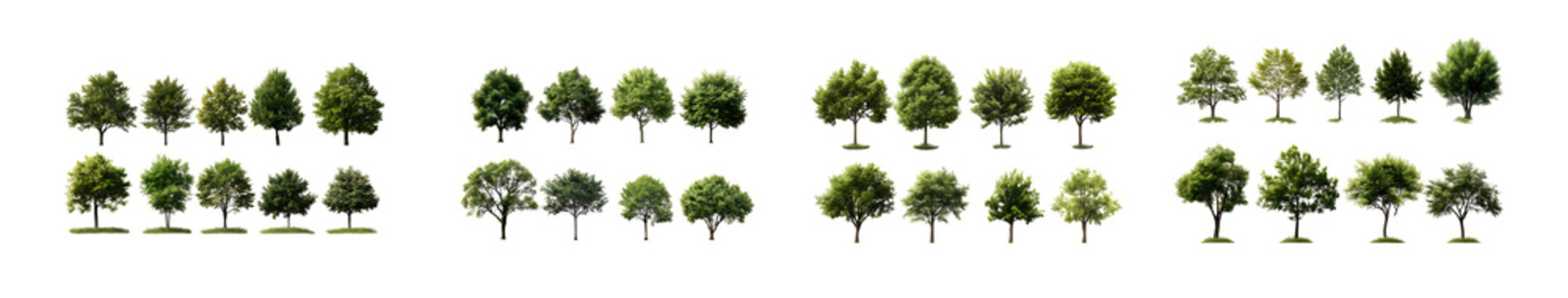 Set of Group of deciduous trees isolated on transparent background green foliage diverse shapes sizes. png