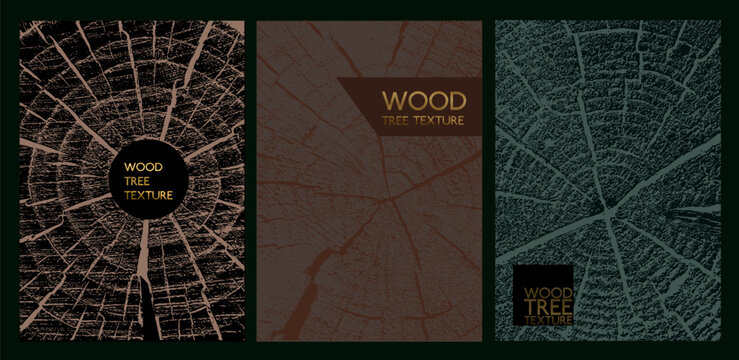 Set of luxury golden templates with wood annual rings texture. Banner designs featuring tree trunk cross section stamps and wooden concentric circle patterns in elegant vector style.