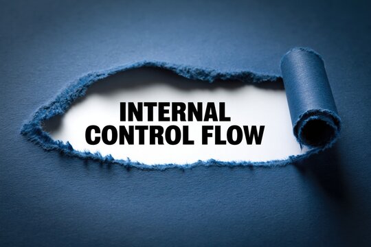 Internal Control Flow for System and Process Integrity