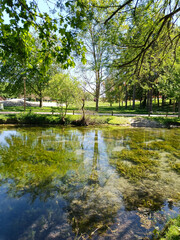 Fototapeta premium Clear Water with Underwater Plants in Parc Léo Lagrange, Reims