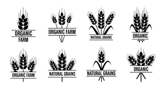 Organic Farm Wheat Grain Logos