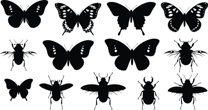 Butterfly and insect silhouettes vector set with beetles and flying bugs, black shapes collection for nature design, tattoo, logo and decorative use